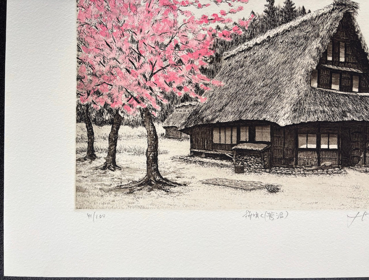 - Sakura Saku -Suganuma (When the Cherry Blossoms Bloom in Suganuma) -