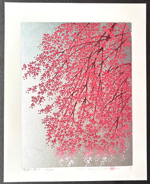 - Shidare Zakura 6  (Weeping Cherry 6) -