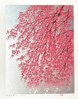 - Shidare Zakura 6  (Weeping Cherry 6) -