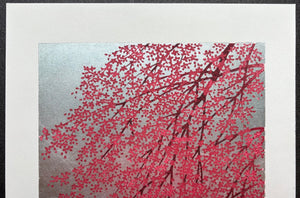 - Shidare Zakura 6  (Weeping Cherry 6) -