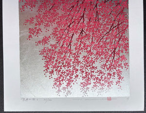 - Shidare Zakura 6  (Weeping Cherry 6) -