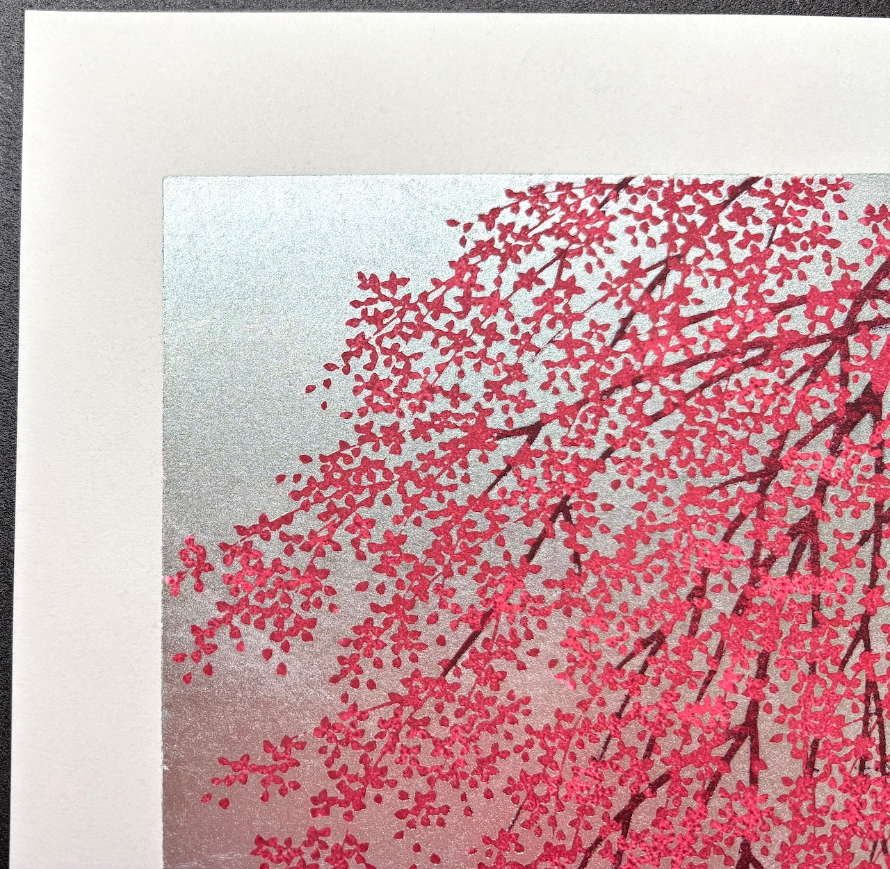 - Shidare Zakura 6  (Weeping Cherry 6) -