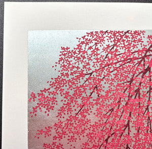 - Shidare Zakura 6  (Weeping Cherry 6) -