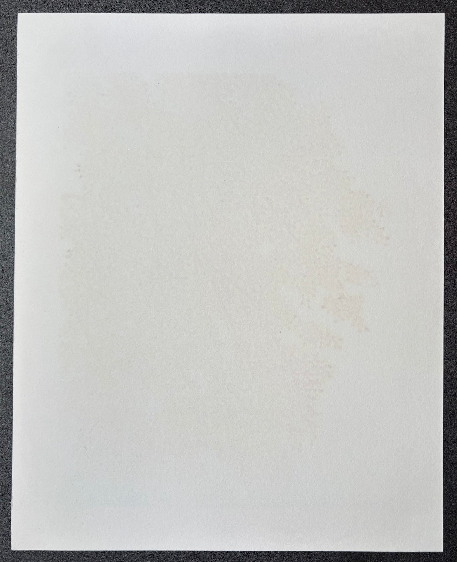 - Shidare Zakura 6  (Weeping Cherry 6) -