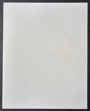 - Shidare Zakura 6  (Weeping Cherry 6) -