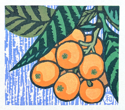 - Loquat -