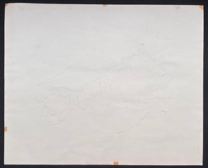 - Ise-Ebi (Japanese Lobster) -