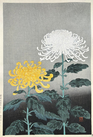 - Kiku (Two chrysanthemums) -