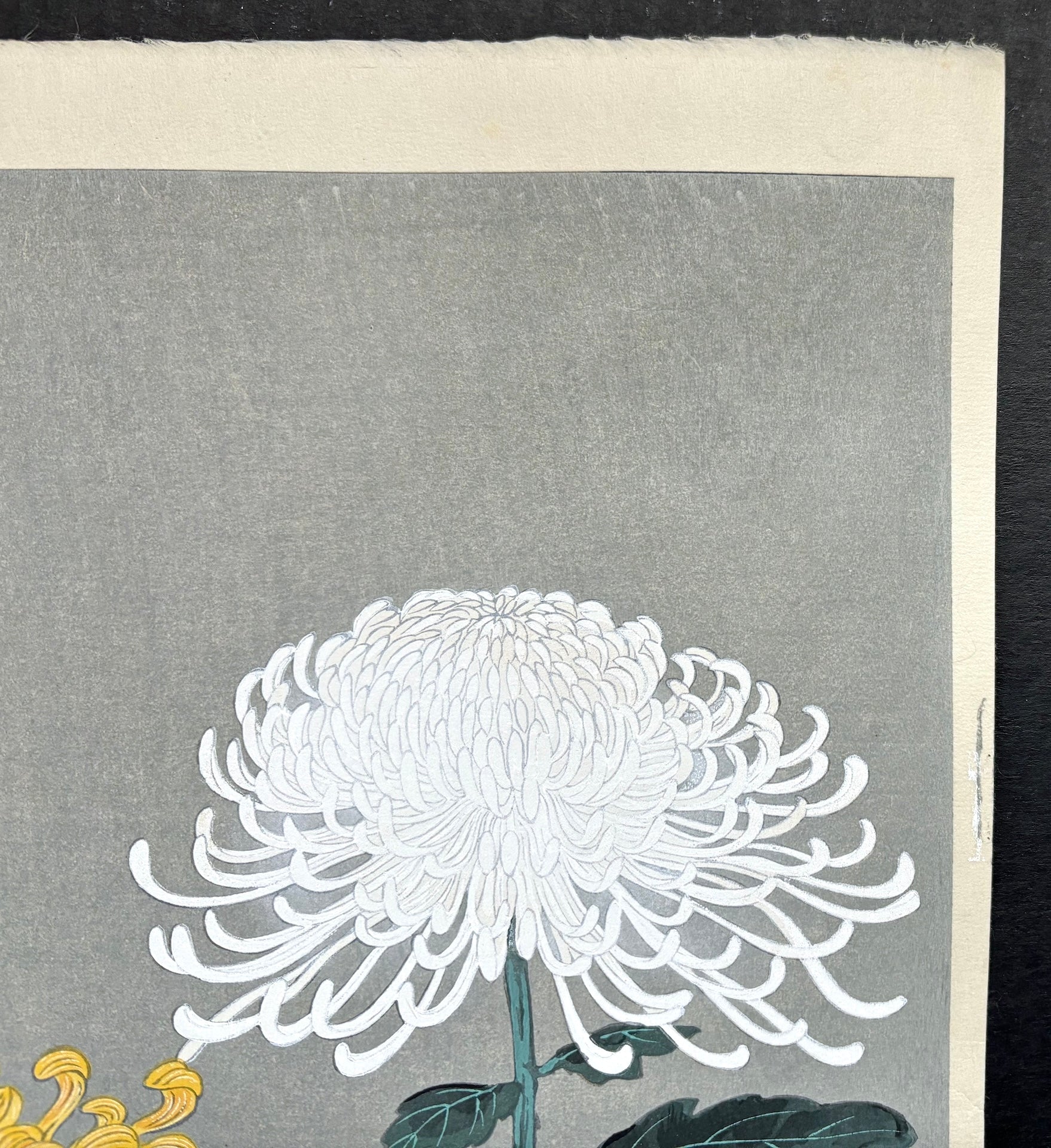 - Kiku (Two chrysanthemums) -