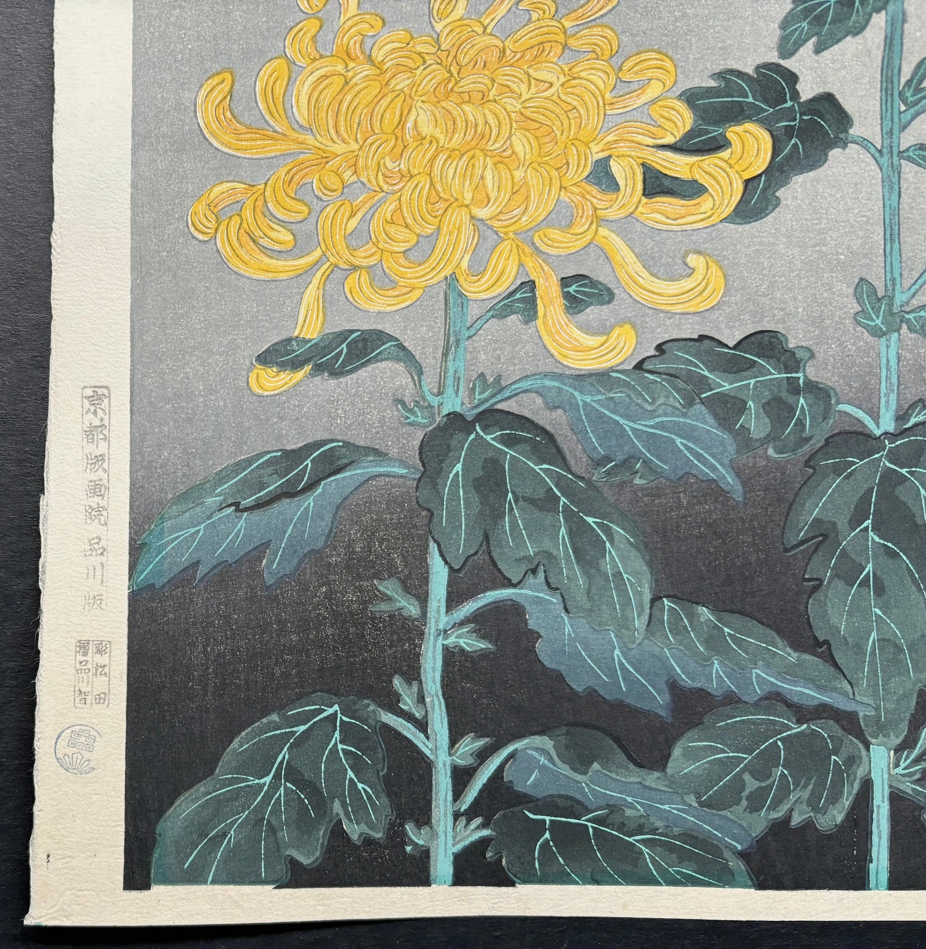 - Kiku (Two chrysanthemums) -