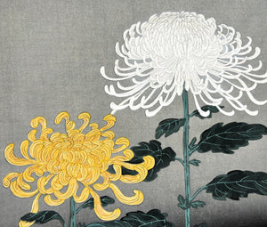 - Kiku (Two chrysanthemums) -