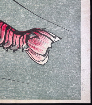 - Ise-Ebi (Japanese Lobster) -