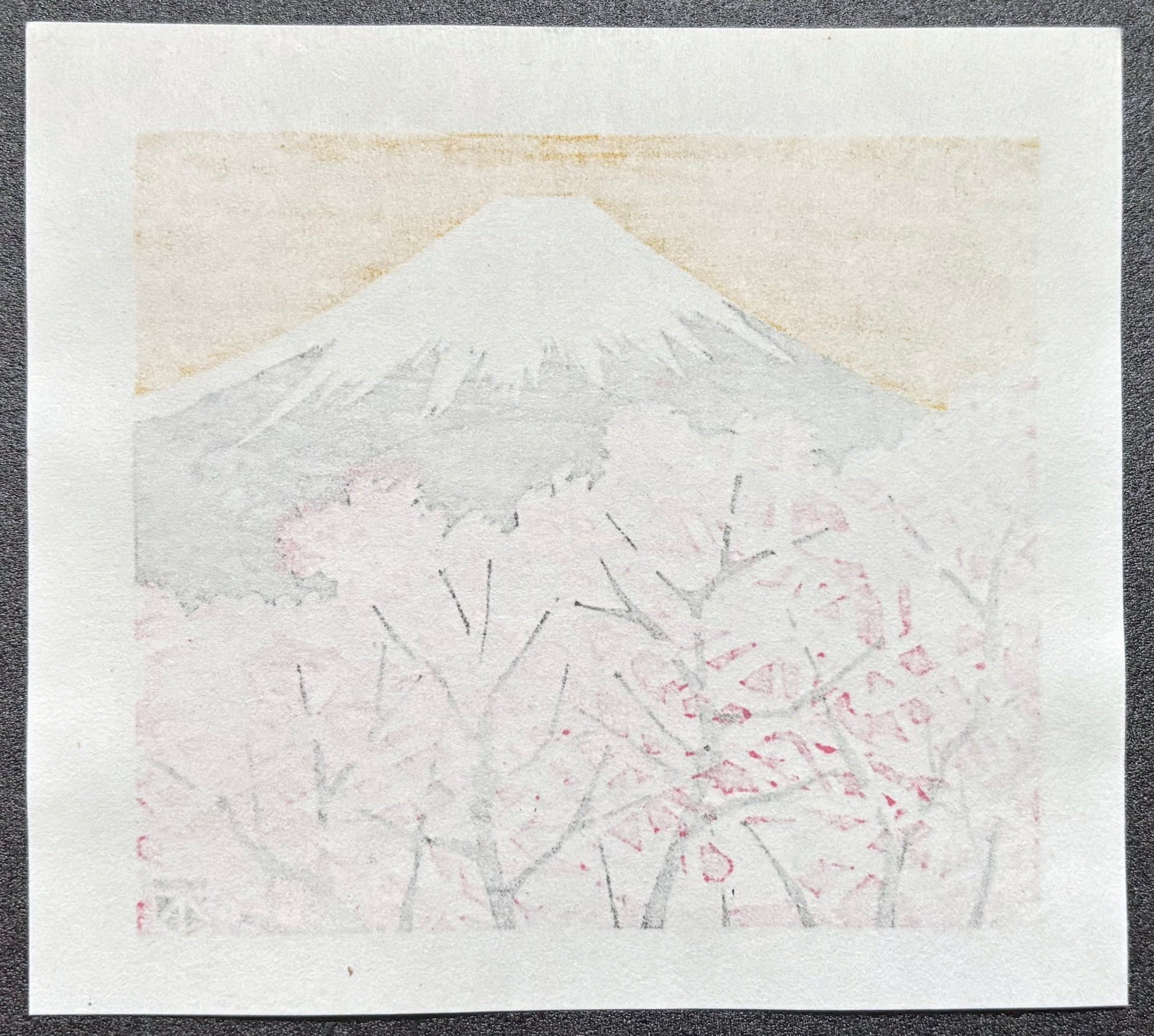 - Mount Fuji and Cherry Blossoms -