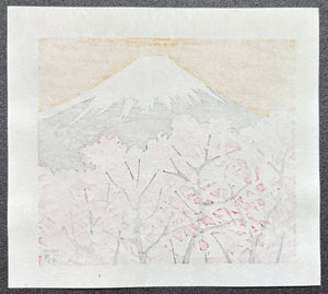 - Mount Fuji and Cherry Blossoms -