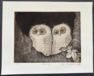 - Kobukuro no Kyodai (Little Owl Brothers) -