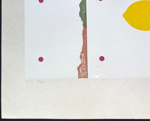 - "Winter"  From The Lemon and the Four Season of Japan -