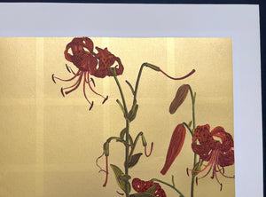 - Tiger lily - 96 -