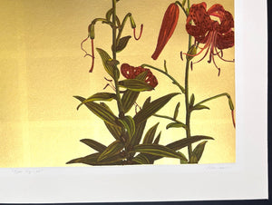 - Tiger lily - 96 -