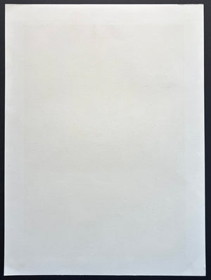 - Gio-ji Temple in Autumn -