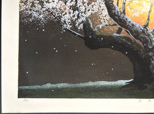 - Shungyo no Tanboku (Cherry Blossoms in Spring Dawn) -