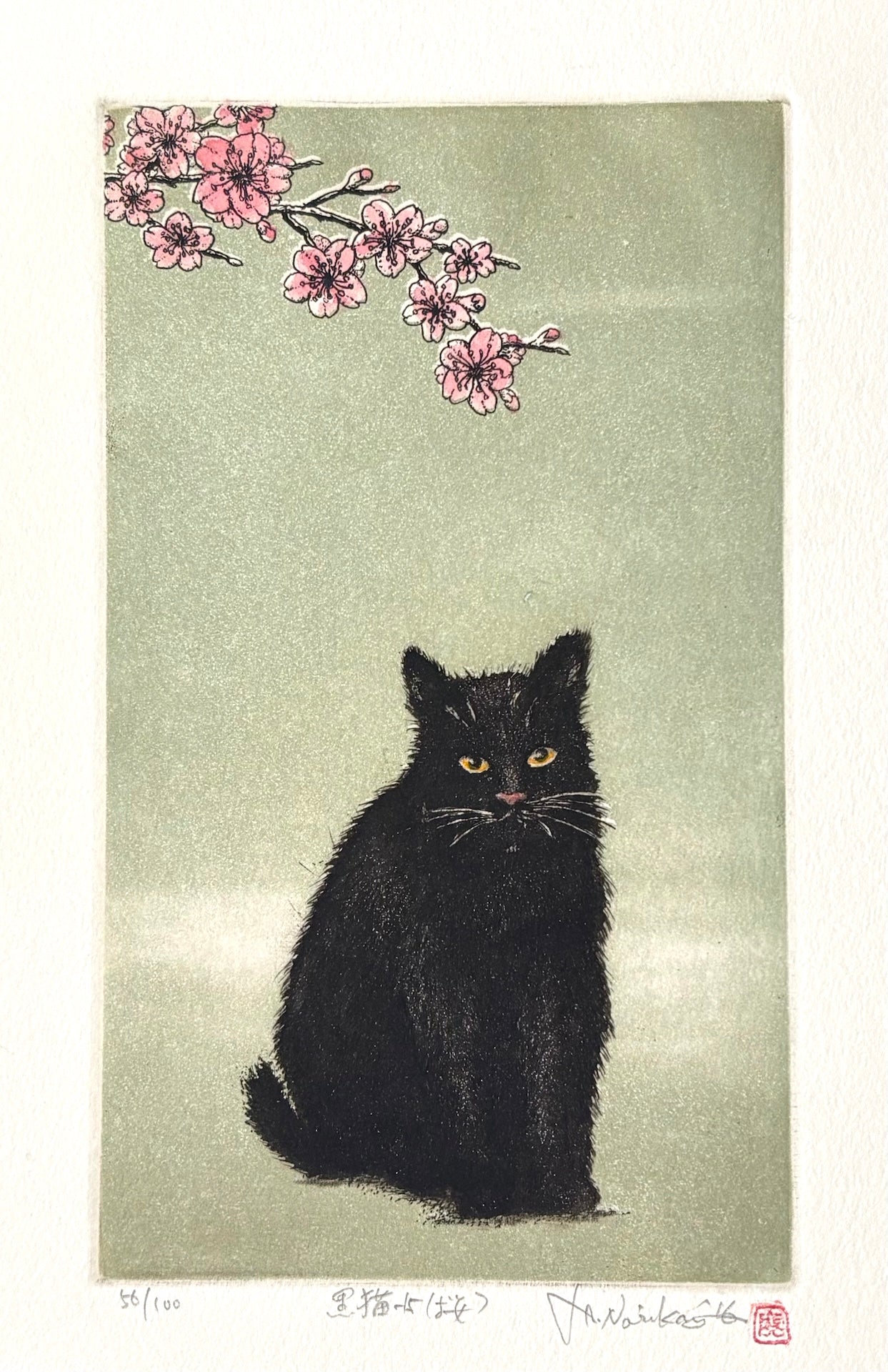 - Kuroneko -15, Sakura (Black Cat 15, Cherry Blossoms) -