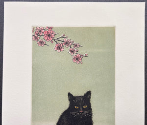 - Kuroneko -15, Sakura (Black Cat 15, Cherry Blossoms) -