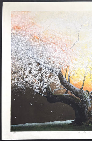 - Shungyo no Tanboku (Cherry Blossoms in Spring Dawn) -