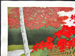 - Aki Kyoto (Kyoto in Autumn) -