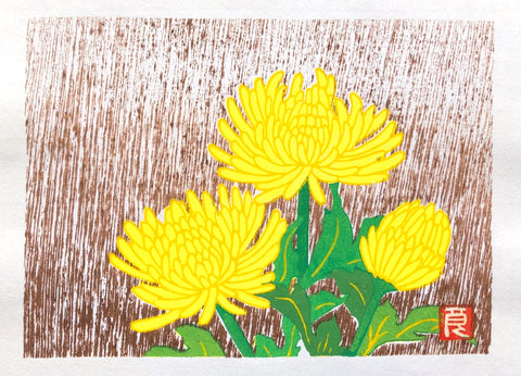 - Chrysanthemum -