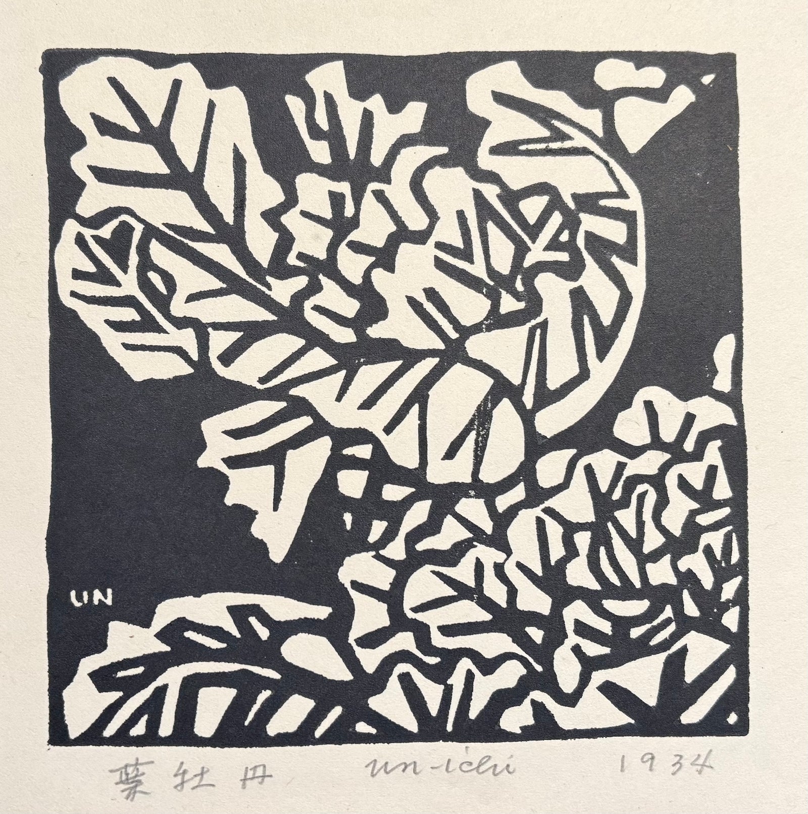 - Habotan (Ornamental Cabbage) -