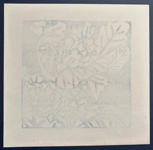 - Habotan (Ornamental Cabbage) -