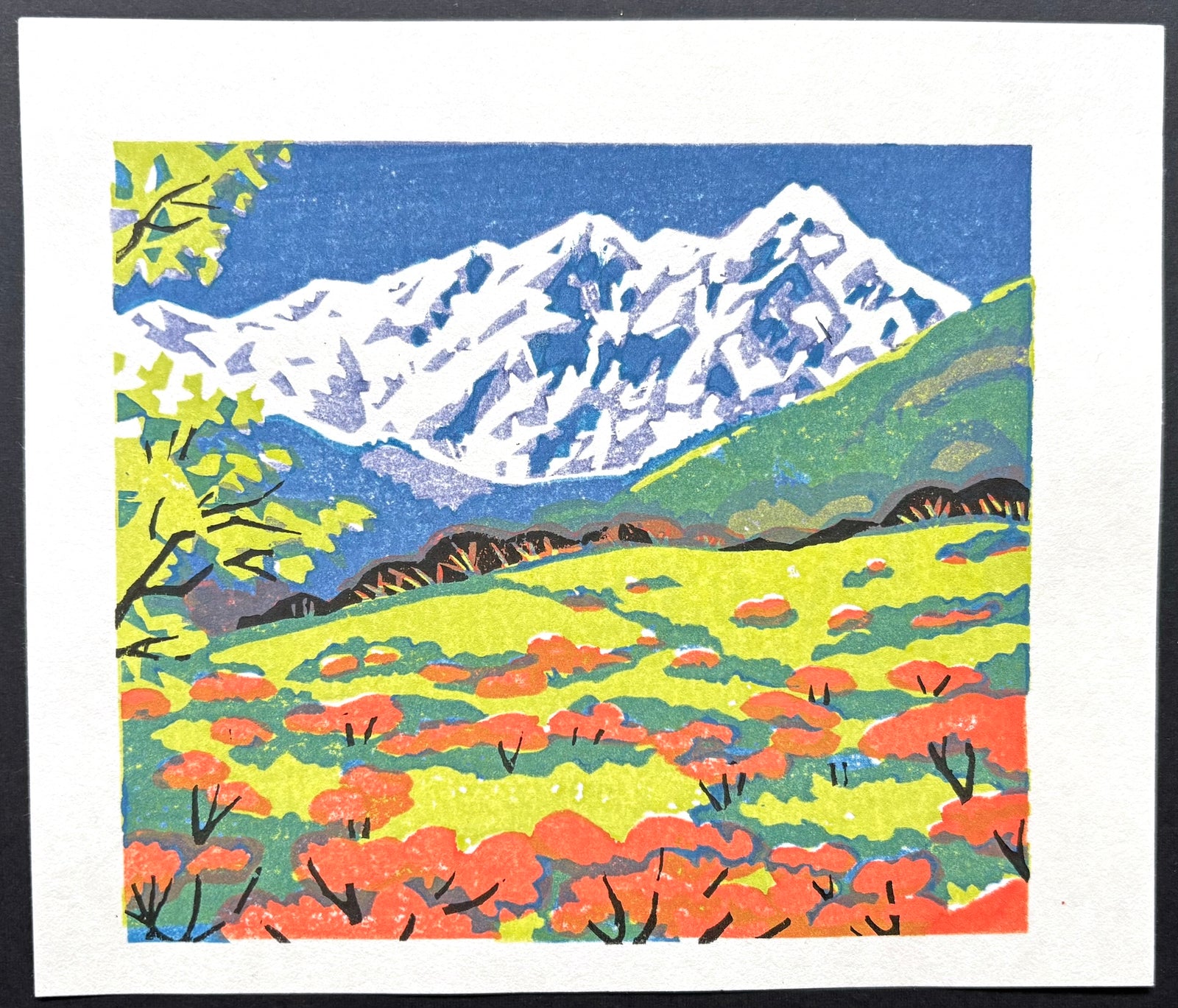 - Snow-Covered Mountains -