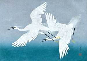 - Shirasagi (White Herons) -