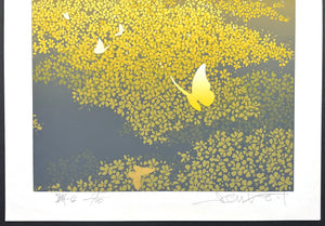 - Mai -4  (Dance -4) -