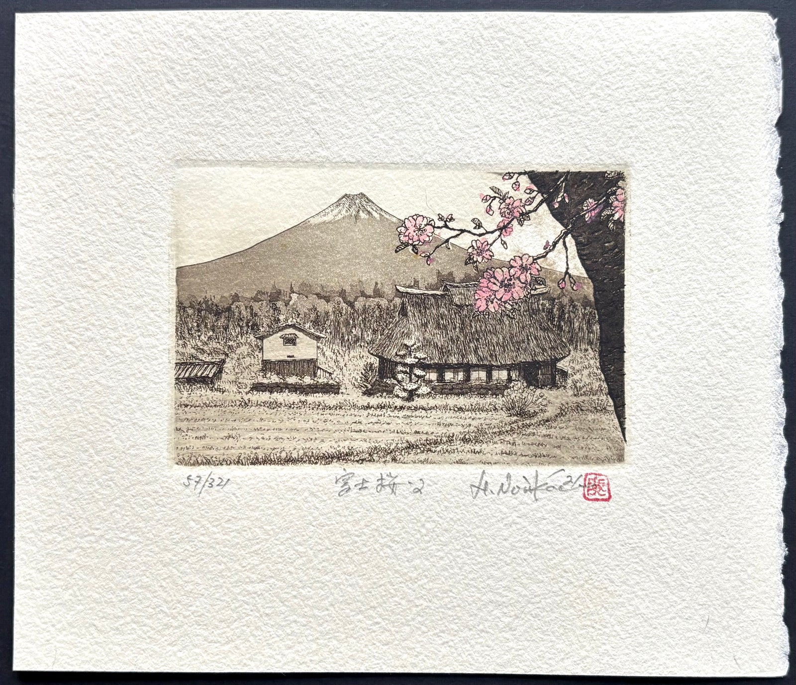 - Fuji Zakura 2  (Cherry Blossoms and Mt. Fuji 2 ) -