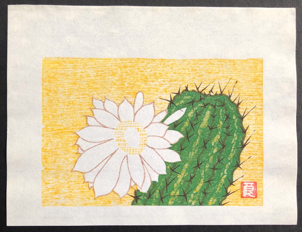 - Cactus Flower -