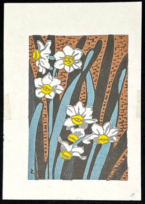 - Daffodil -