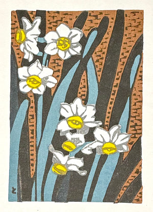 - Daffodil -