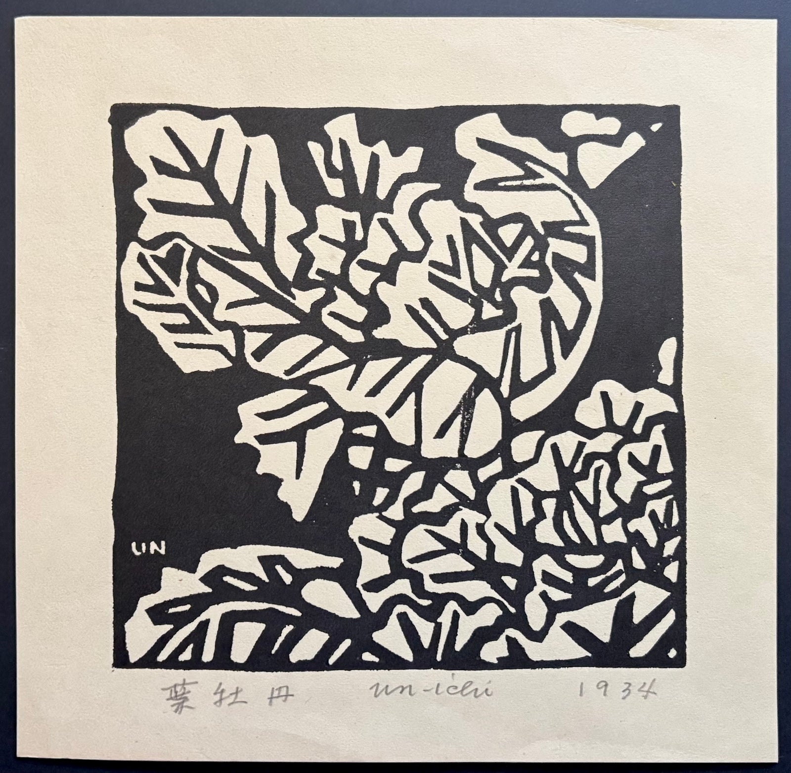 - Habotan (Ornamental Cabbage) -