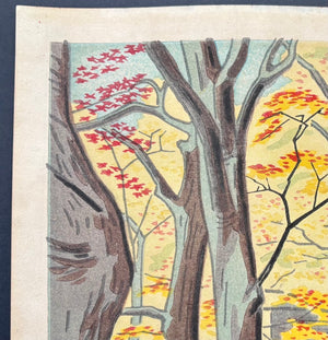 - Jakkoin Koyo (Jakkoin in Autumn Colors) -