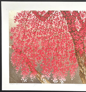 - Shidare Zakura 29  (Weeping Cherry 29) -