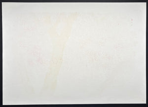 - Shidare Zakura 29  (Weeping Cherry 29) -