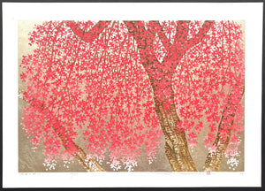 - Shidare Zakura 29  (Weeping Cherry 29) -