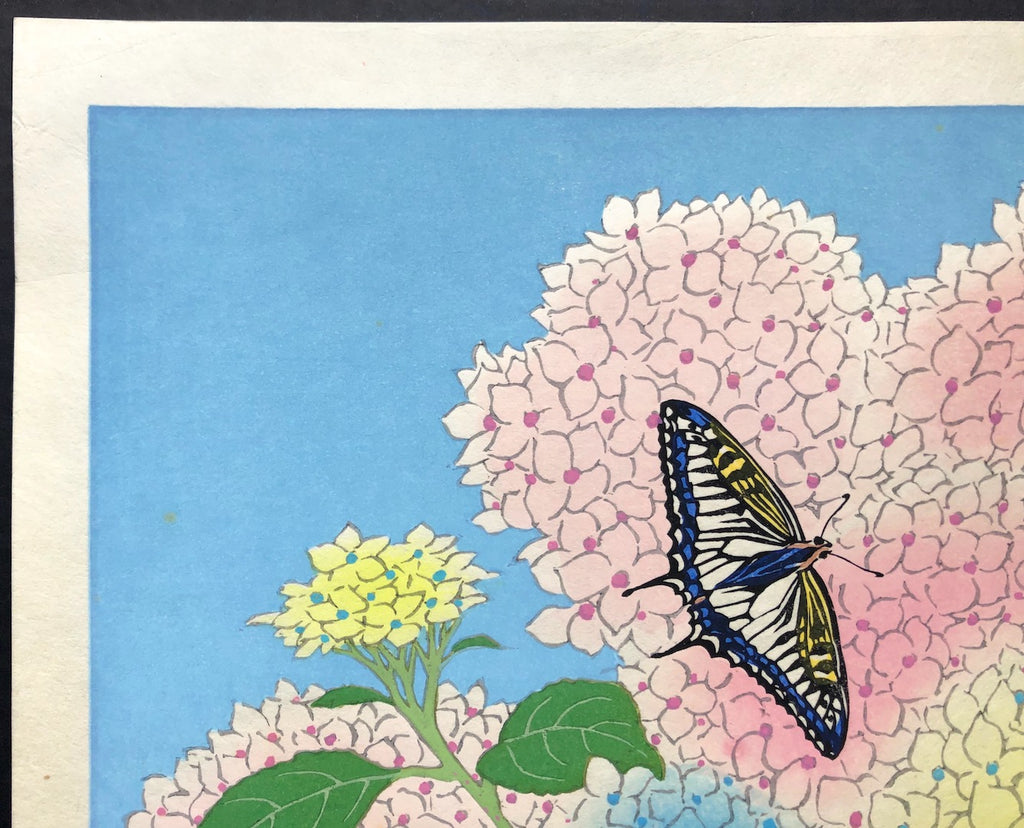 - Ajisai ( Hydrangea and Butterfly) -