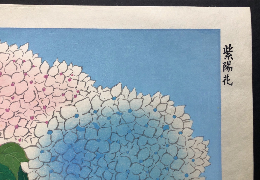 - Ajisai ( Hydrangea and Butterfly) -