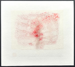 - A Little Red Tree -