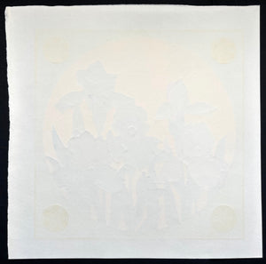 - Iris 72, 2000 -