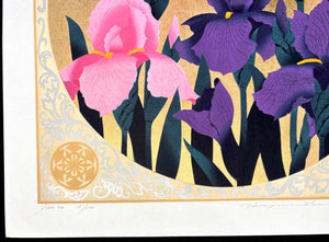 - Iris 72, 2000 -