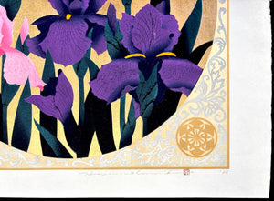 - Iris 72, 2000 -