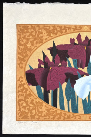 - Iris 71, 2000 -